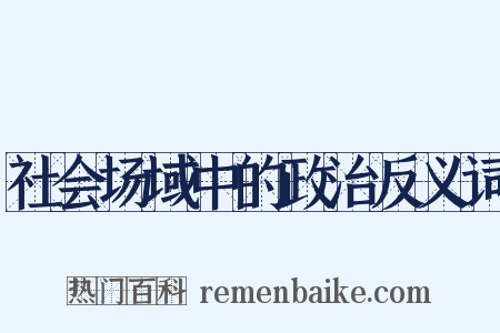 社会场域中的政治反义词是什么意思的图片